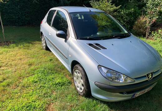 Peugeot 1.1i Enfant Terrible
