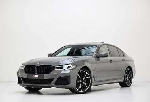 BMW 530e Aut. M Sport Edition