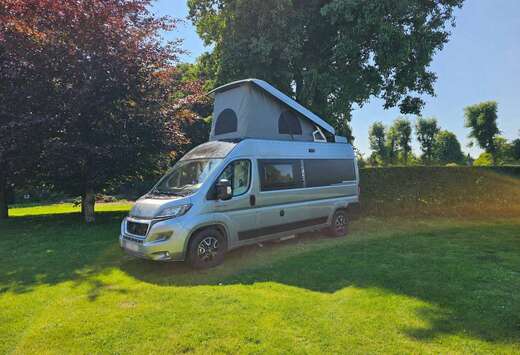 Peugeot Dreamer D55 UP