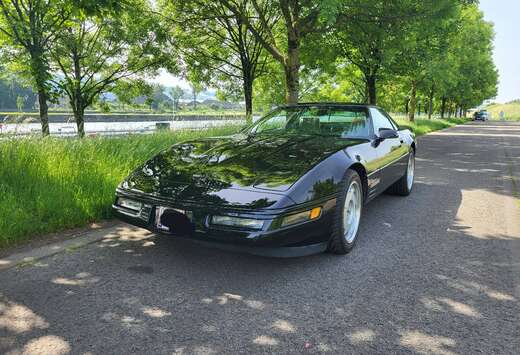 Corvette Targa