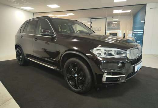 BMW 2.0 dAS sDrive25 (EU6) Xenon - Intelligent safety ...