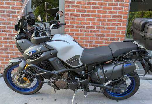 ZE