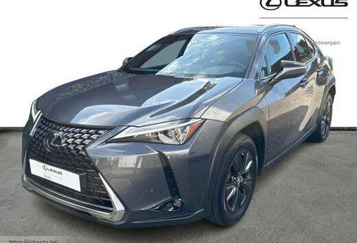 Lexus Business Line