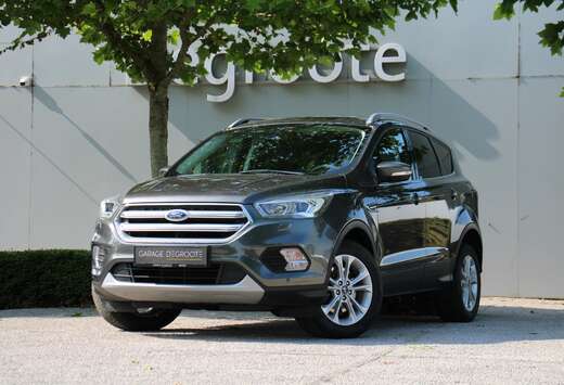 Ford Titanium1.5 Ecoboost AWD Automaat *LEDER*CAM*NAV ...