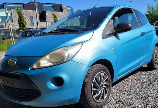 Ford 1.3i AL GEKEURD ROOS FORMULIER 2010