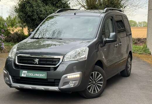 Peugeot 1.6 BlueHDi // Euro 6 // Première Main + His ...