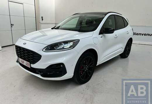 Ford * ST Line X / Black Edition / PHEV  / Demowagen
