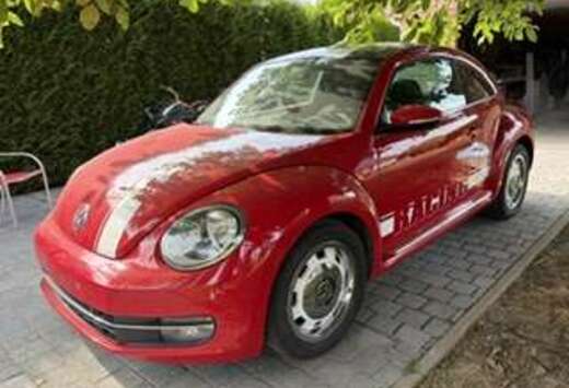 Volkswagen Beetle 1.6 CR TDi