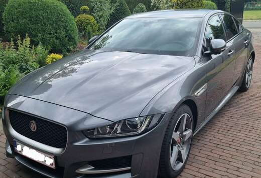 Jaguar XE 2.0 T Business Edition R-Sport