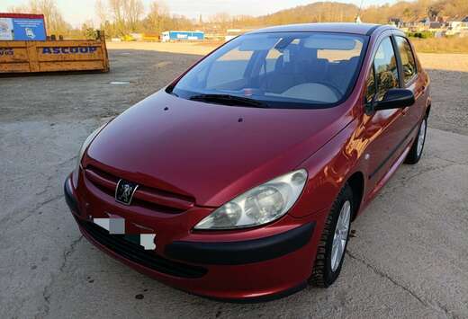 Peugeot 1.6i 16v XS