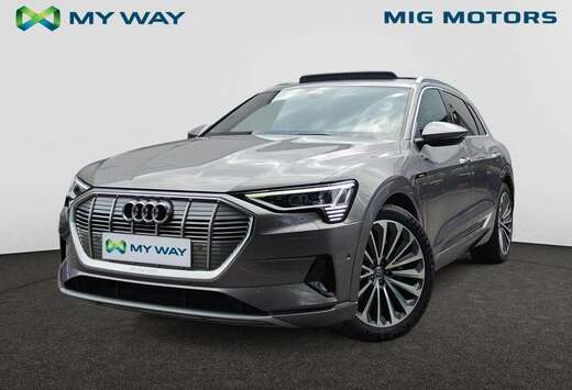 Audi Advanced 50 quattro (313pk) /// S-Line /// Panor ...