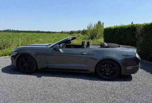 Ford Mustang Convertible 2.3 EcoBoost