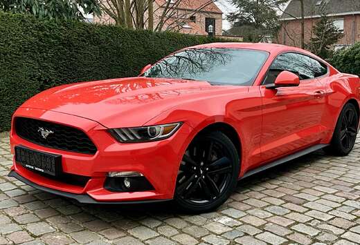 Ford 2.3 EcoBoost Showroom staat  ### 27000 km ###