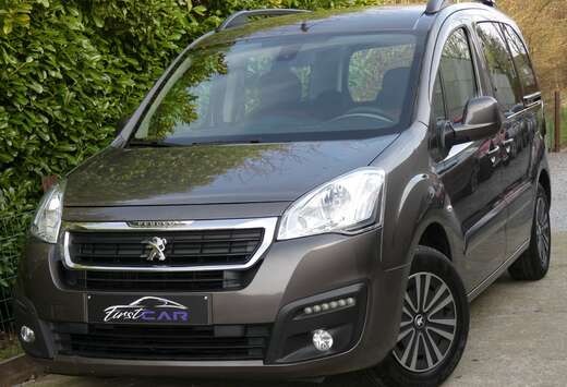 Peugeot Tepee 1.6 BlueHDi - Euro6b - Full Carnet - Ga ...