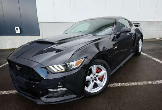 Ford Fastback 2.3 EcoBoost