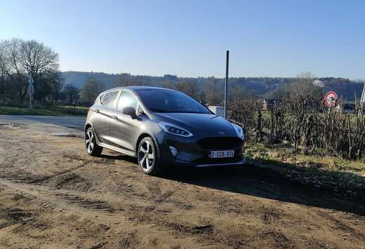 Ford Active 1.0 EcoBoost 3 (EU6.2)