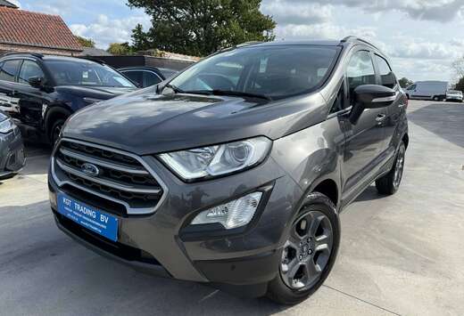 Ford 1.0i 125PK NAVIGATIE CARPLAY PDC VERWARMDE ZETEL ...