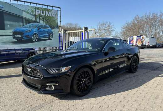 Ford EcoBoost 317pk / manueel