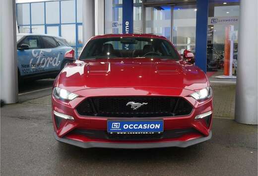 Ford 5.0 Ti VCT V8 GT 450cv M6