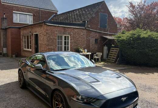 Ford 2.3 EcoBoost  STAGE 2  Performance Build