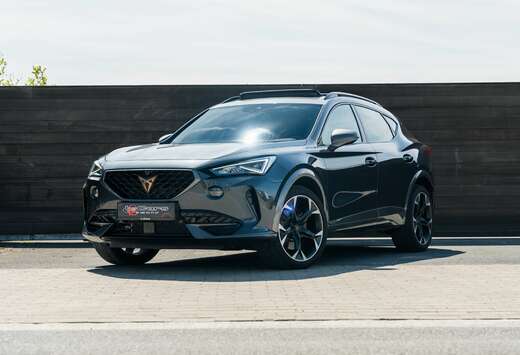 Formentor 2.0 TSI 4Drive VZ DSG