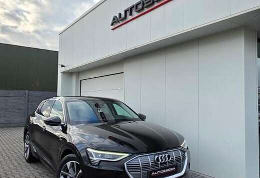 Audi 50 Quattro Advanced Luchtv/Leder/Camera/Garantie