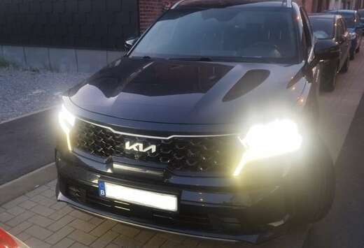 Kia Kia Sorento Sorento HEV 1.6 TGI AWD Pace 7pl