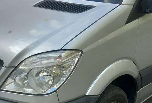 Mercedes-Benz 315 CDI 4x4 906.733