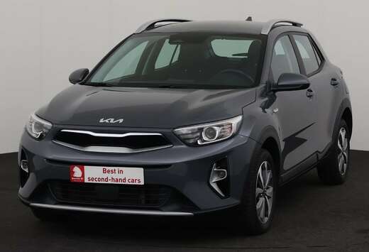 Kia BUSINESS LINE 1.0T  mHEV + GPS + PDC + CRUISE + A ...