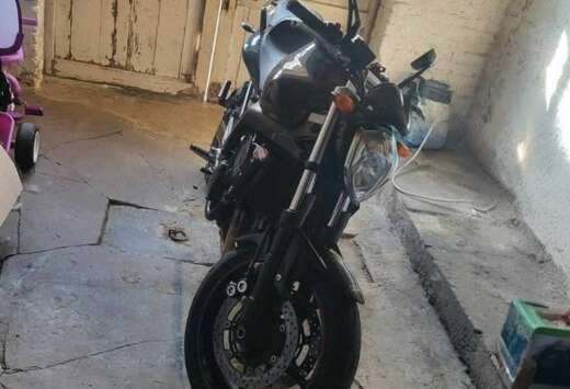 fz6 nacked s2