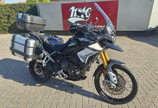 Triumph Rally