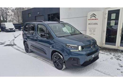 Citroen MAX PLUS