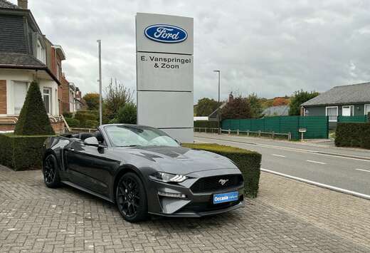 Ford Mustang Convertible 2.3 EcoBoost (EU6.2)