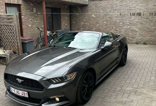 Ford Convertible 2.3 EcoBoost