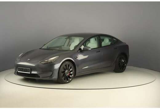 Tesla Performance Dual Motor AWD 490pk