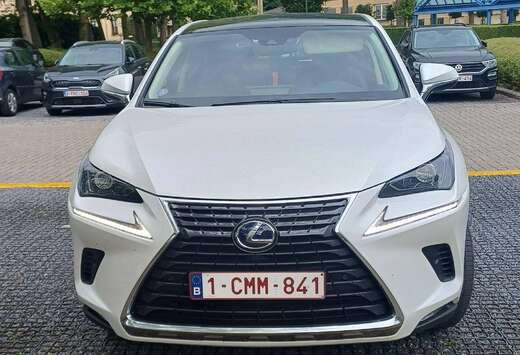Lexus NX 300h 2.5i AWD Executive Line E-CVT (EU6.2)