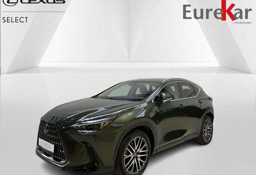 Lexus EXECUTIVE-LINE