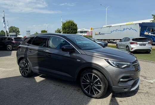 Opel Enkel voor professionele verkoop.