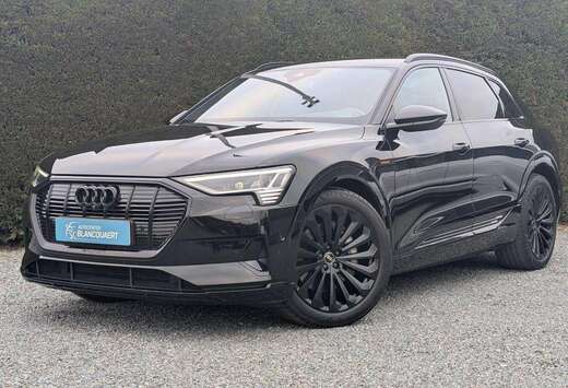 Audi (Q8) e-tron -head up- ambiance - nachtcamera