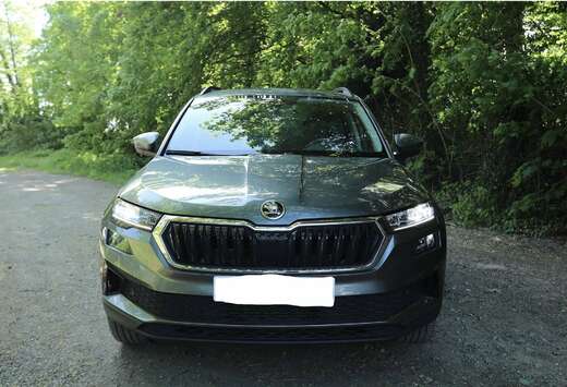Skoda 2.0 CR TDi SCR Clever DSG