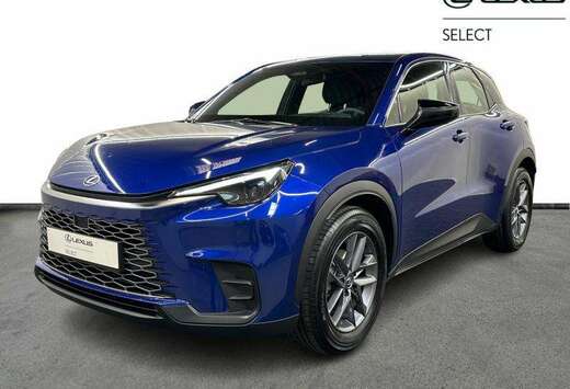 Lexus Base