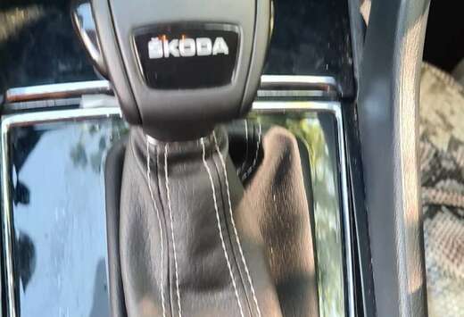 Skoda 2.0 CR TDi Corporate DSG