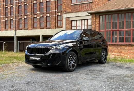 BMW PHEV xDrive25e  Vrijheid, sportiviteit en puur co ...