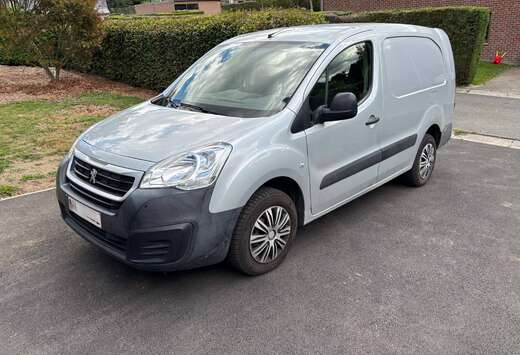 Peugeot L21.6 BlueHdi100
