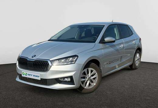 Skoda Corporate 1.0 TSI (115pk) AUTOMAAT /// Achterui ...