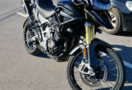 Triumph rally pro