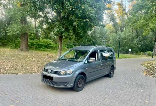 Volkswagen Caddy Maxi  1.6 CR TDi Cup BMT DSG