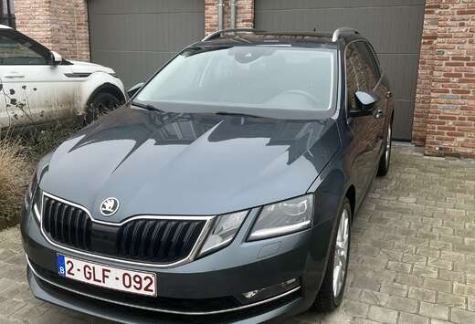 Skoda Combi 1.5 TSI G-TEC DSG Style