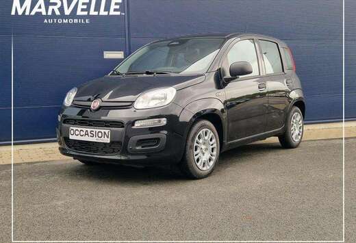 Fiat City II