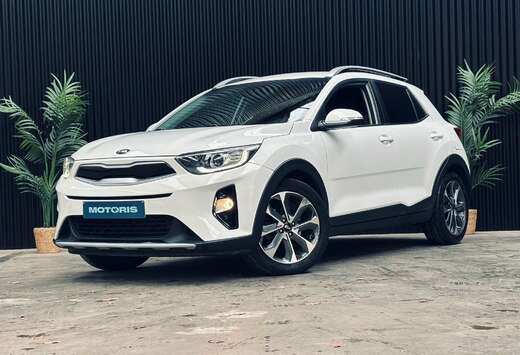 Kia GARANTIE 12 MOIS
